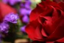 A rose by any other name...